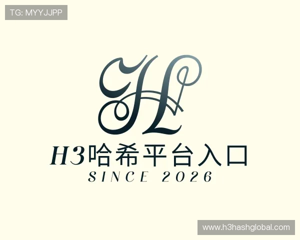 介绍H3哈希平台入口